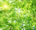 発熱外来の受診の流れと予防接種の準備｜事前に確認しておきたいこと
