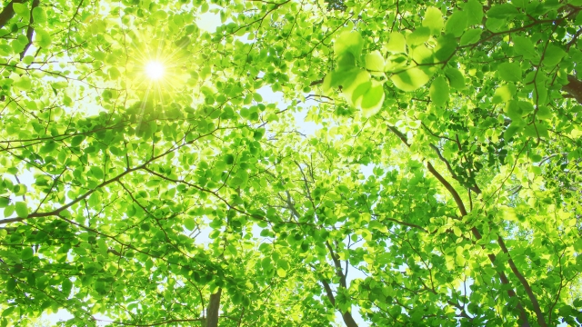 発熱外来の受診の流れと予防接種の準備｜事前に確認しておきたいこと